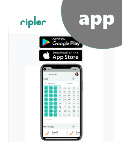 Ripler Project